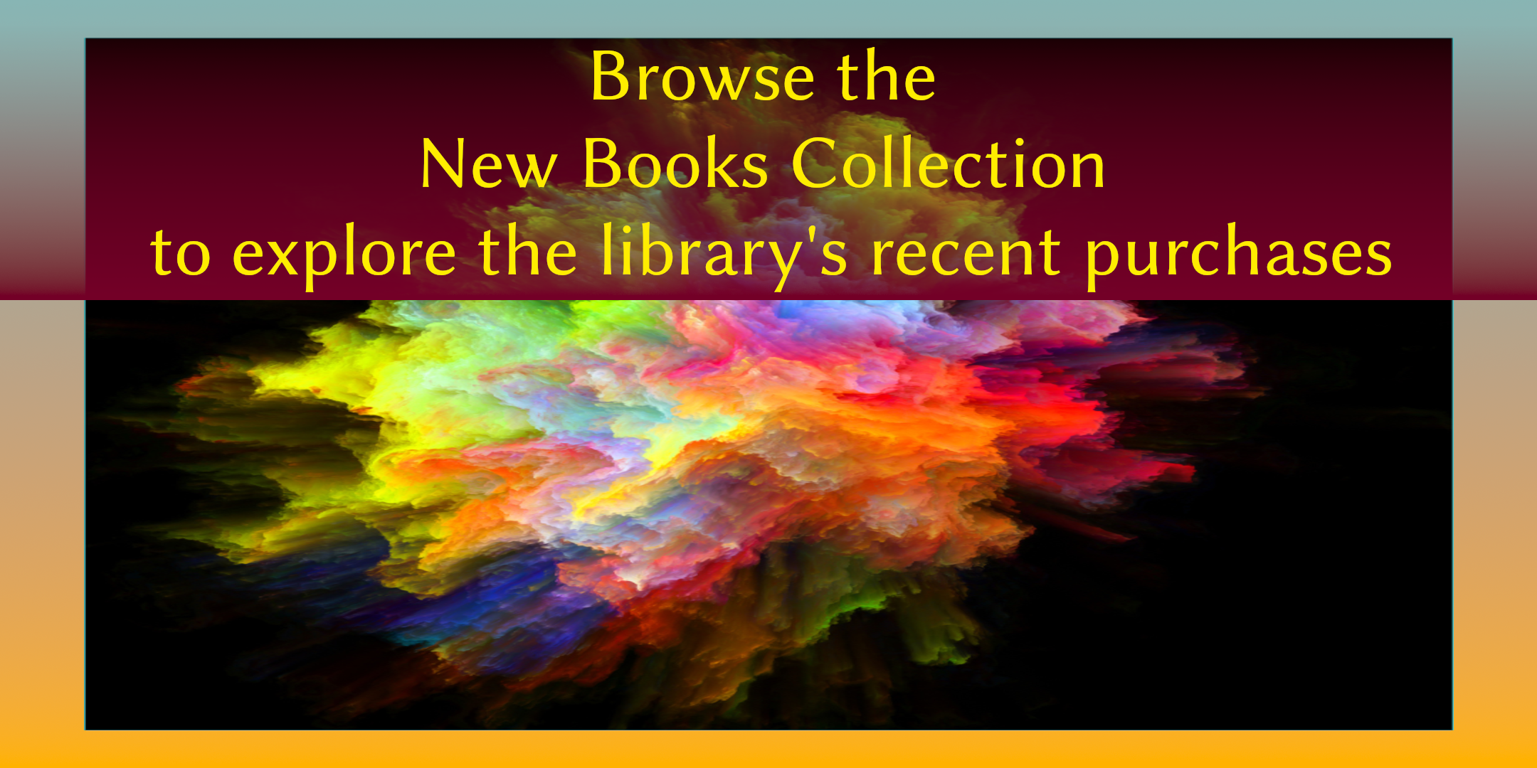 Browse the library's new book collection